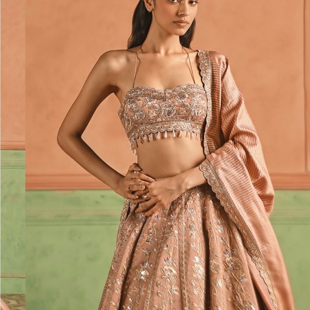 Strapless Embroidered Lehenga in Rose Gold - Women Dresses Strapless - Picture 2 of 4